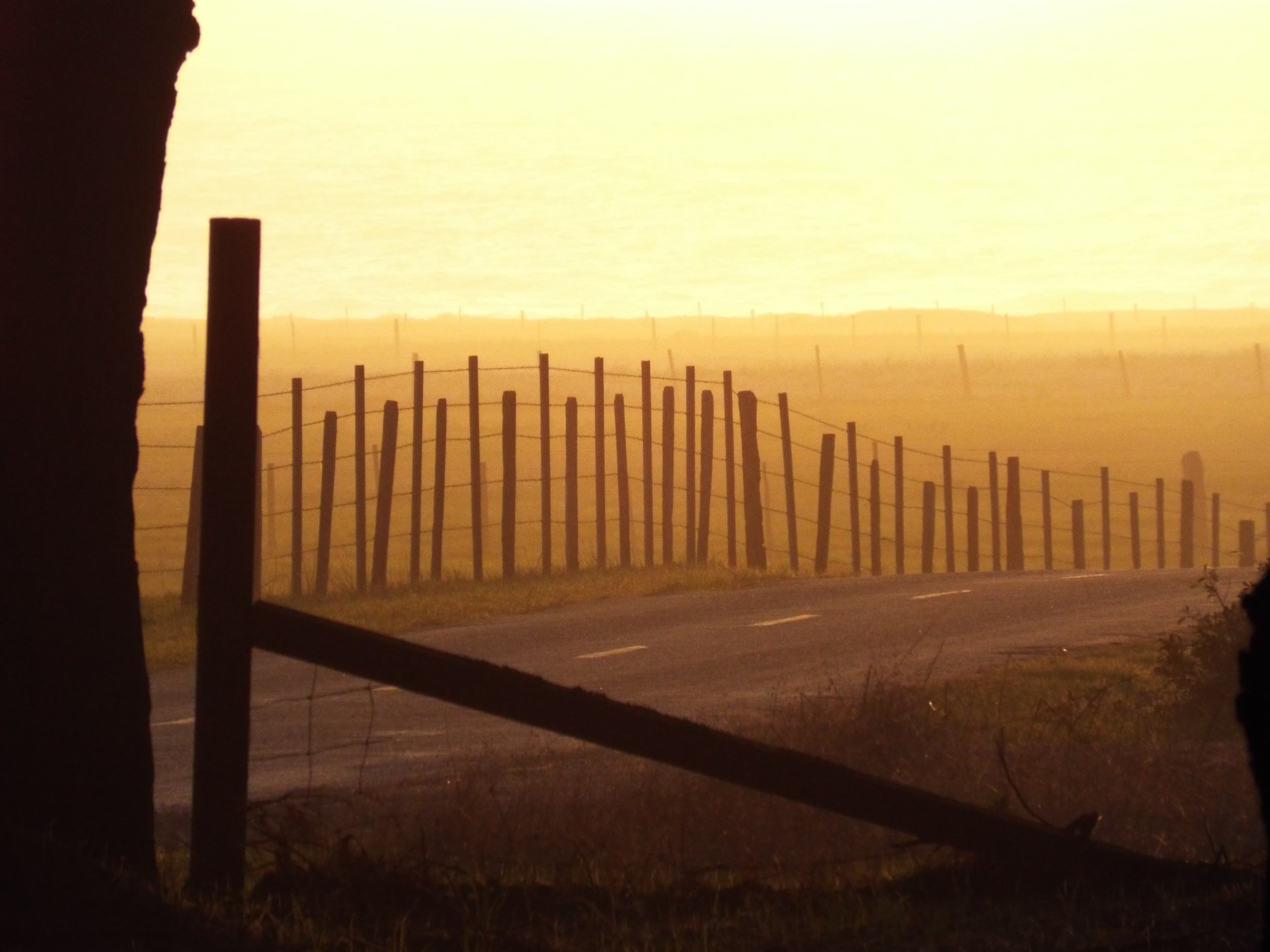 Golden sunset light along a fence line beside a coastal road