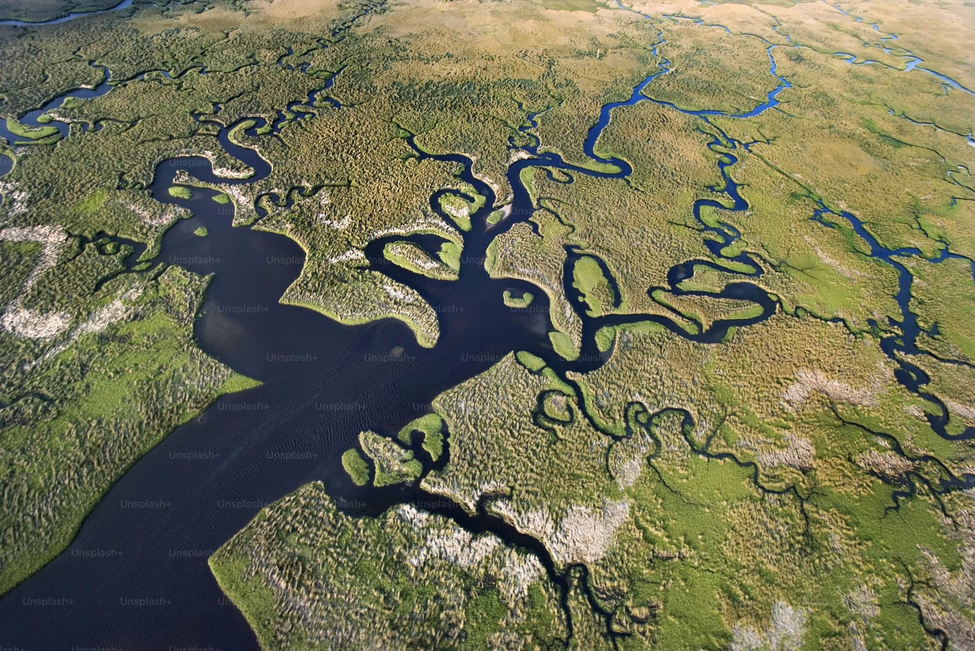 Aerial view of river delta and wetland ecosystem